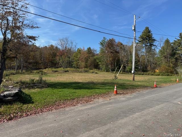 55 Foss Road, Monticello, NY 12701