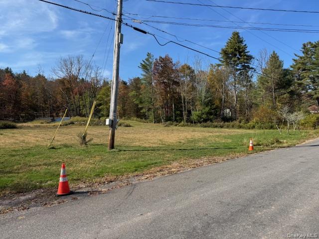 55 Foss Road, Monticello, NY 12701