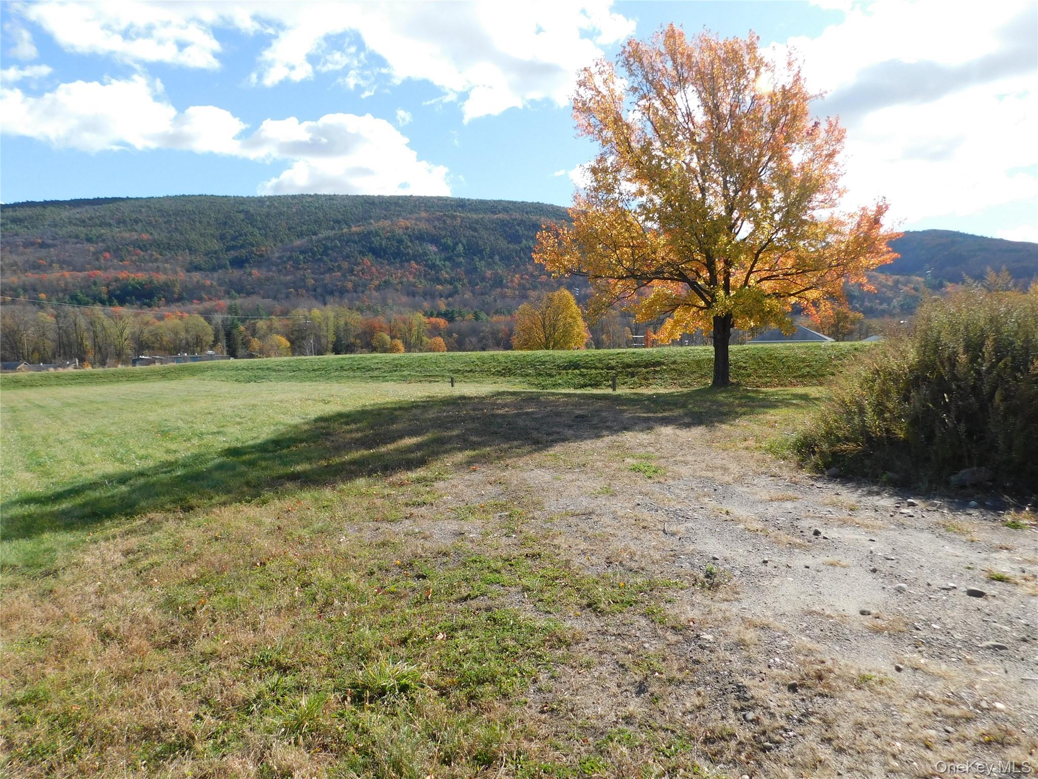 15 Dewitt St, Ellenville, NY 12428