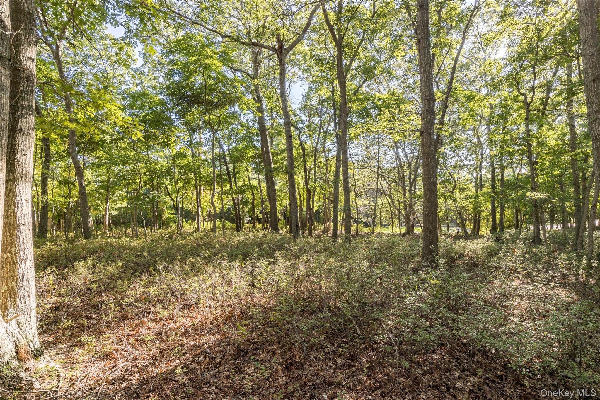 251 Town Lane, Amagansett, NY 11930