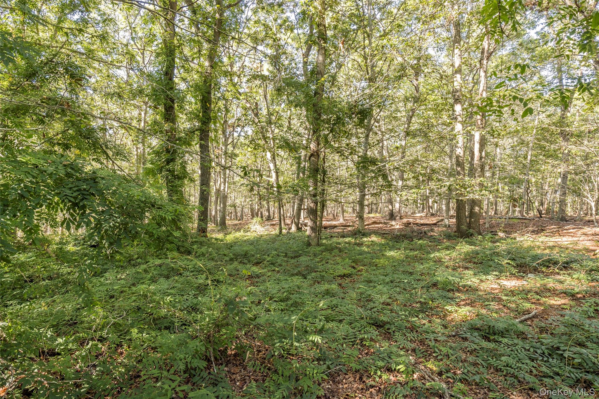 251 Town Lane, Amagansett, NY 11930