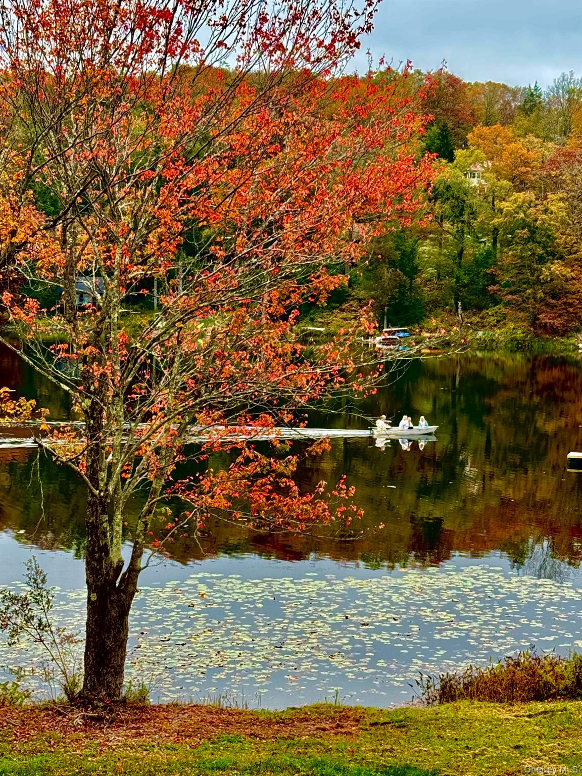 286 Trout Brook Road, Roscoe, NY 12736