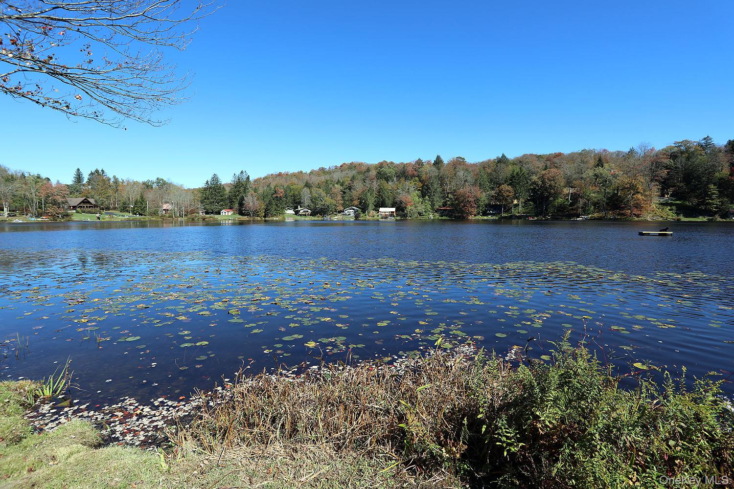 286 Trout Brook Road, Roscoe, NY 12736