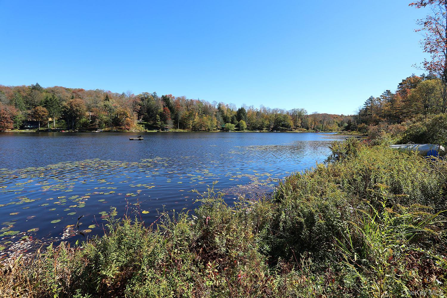 286 Trout Brook Road, Roscoe, NY 12736