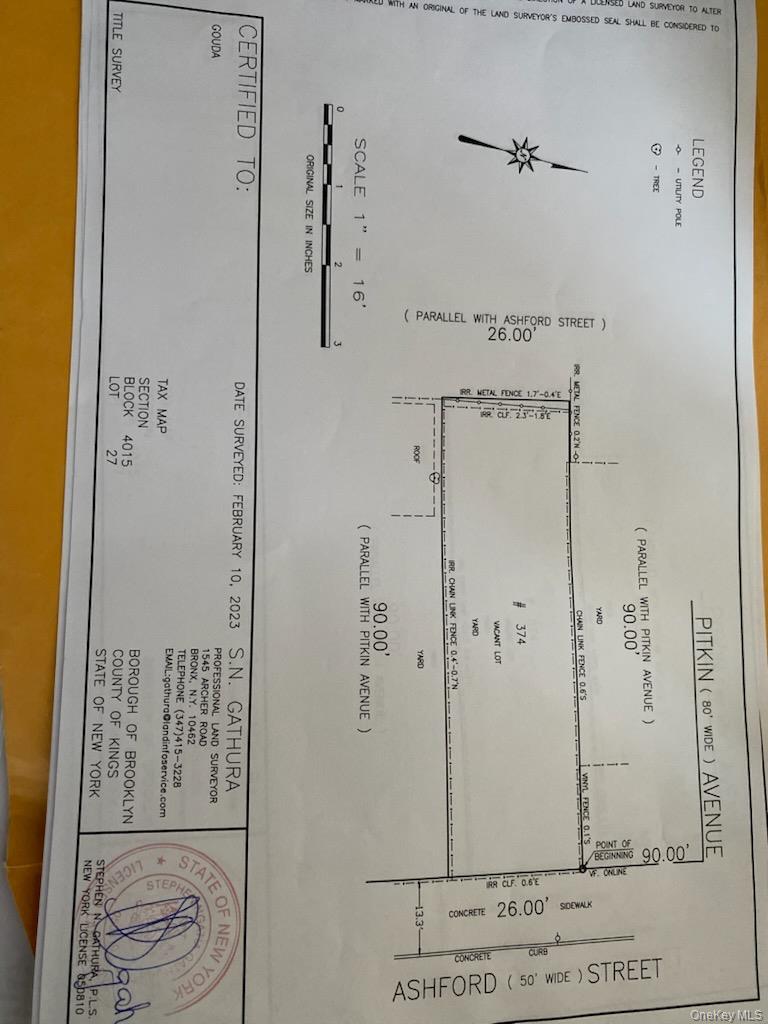 374 Ashford Street, Brooklyn, NY 11207