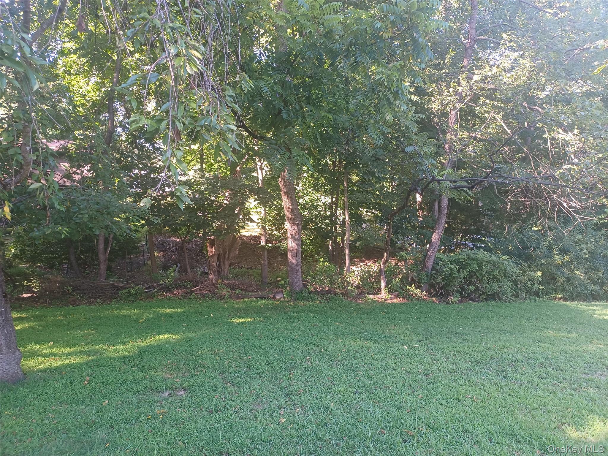 2 E Willow Tree Road, Spring Valley, NY 10977