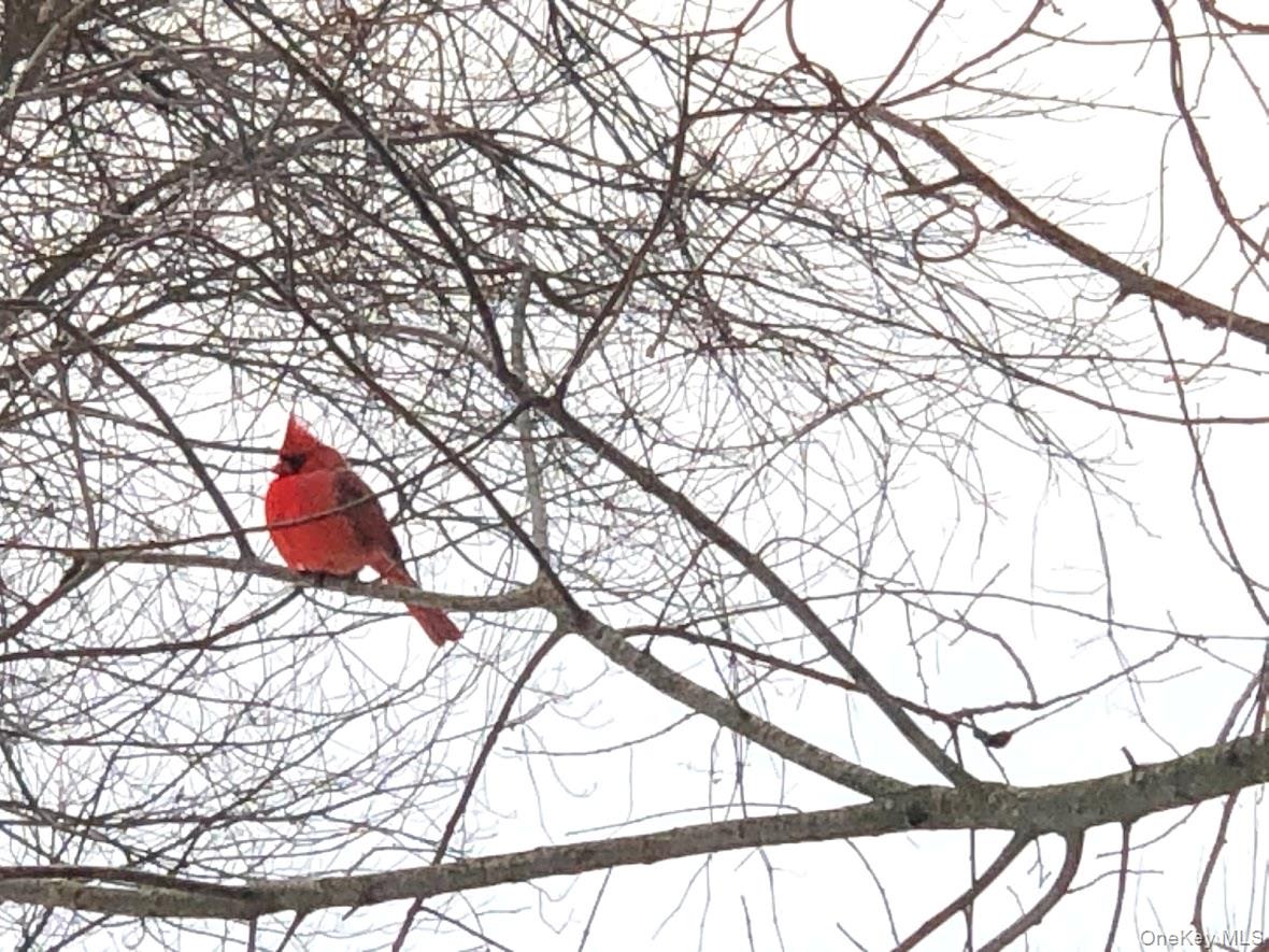 18 Adams Road, Ossining, NY 10562