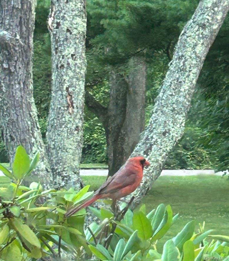 18 Adams Road, Ossining, NY 10562