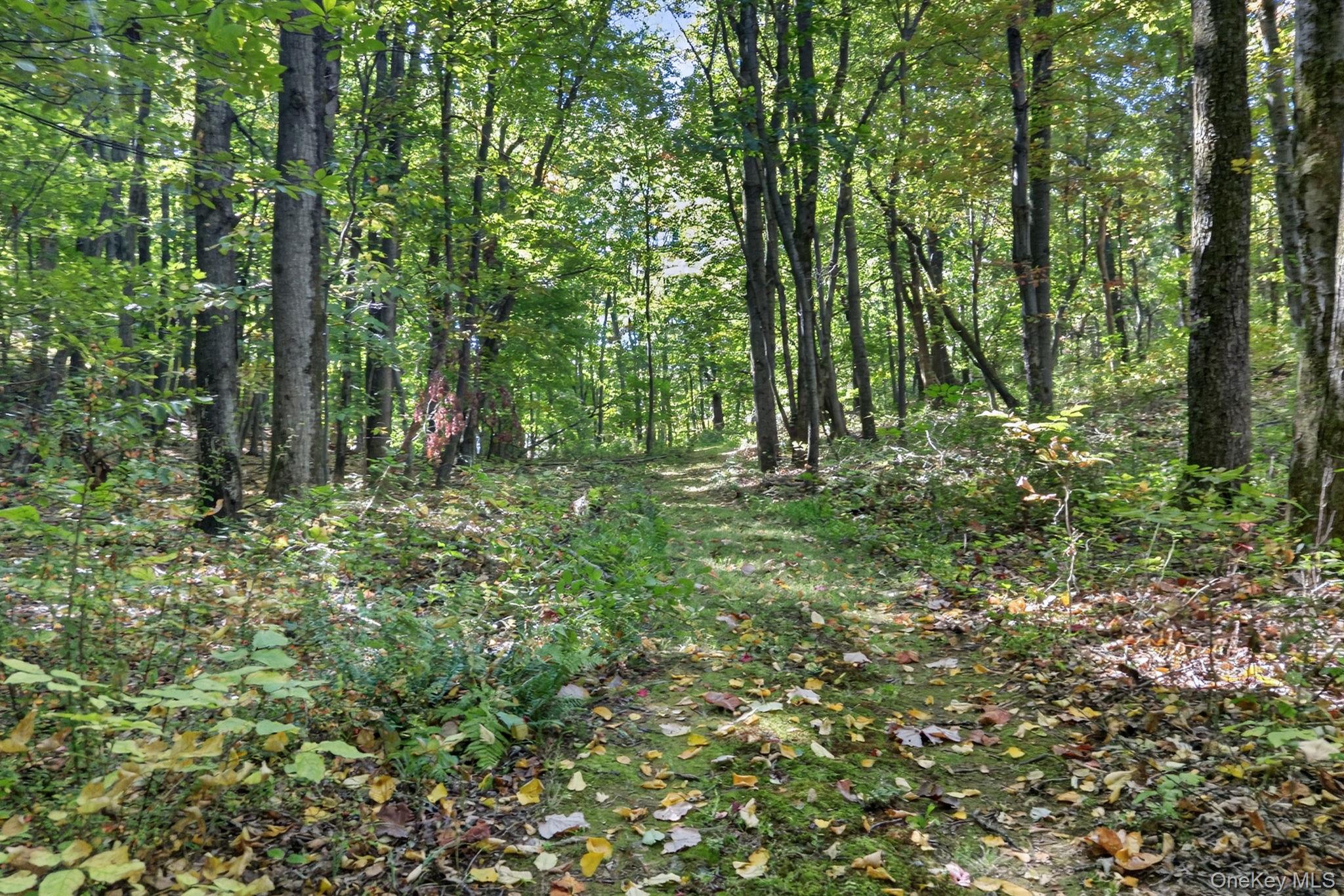 160 Starbarrack Road, Red Hook, NY 12571