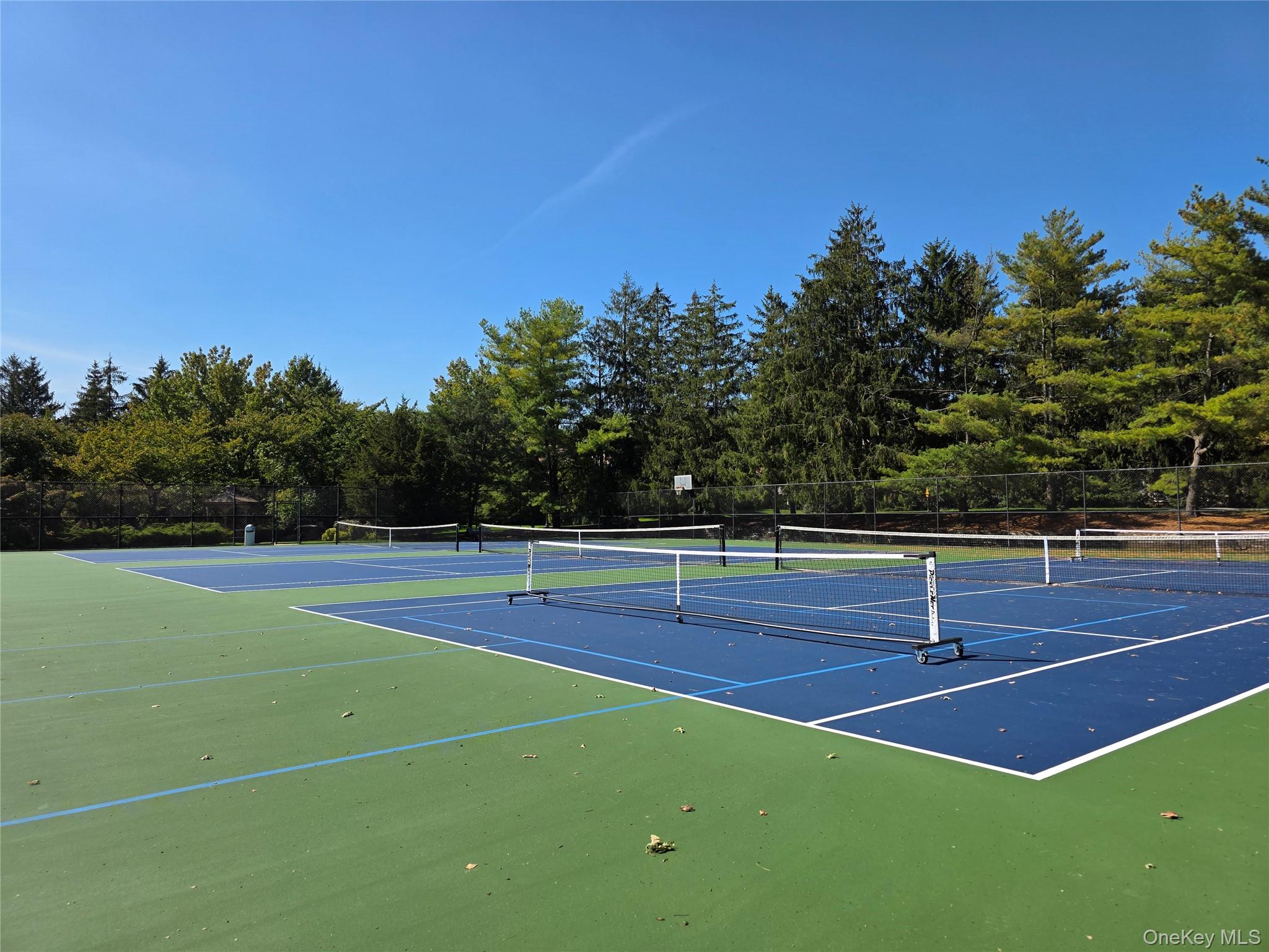 428 Toftree Court, Roslyn, NY 11576