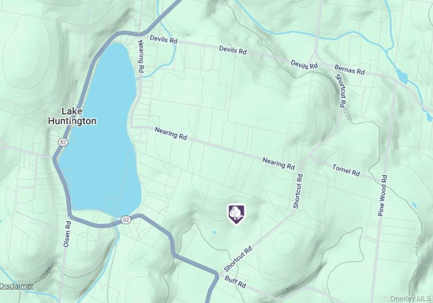 NY-52&Shortcut Rd akaT R 43, Cochecton, NY 12726