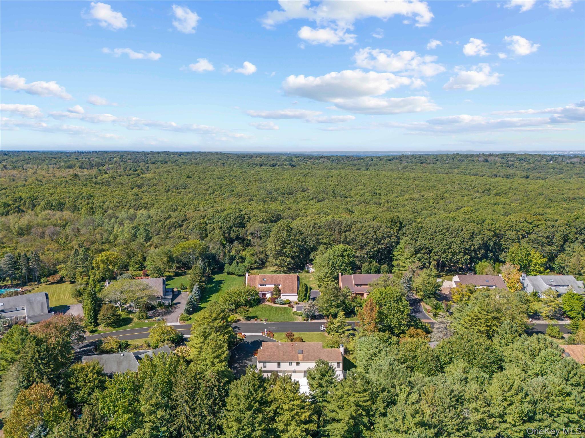 6 Clearmeadow Lane, Woodbury, NY 11797