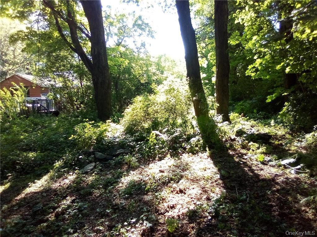 71 Honeywell Lane, Hyde Park, NY 12538