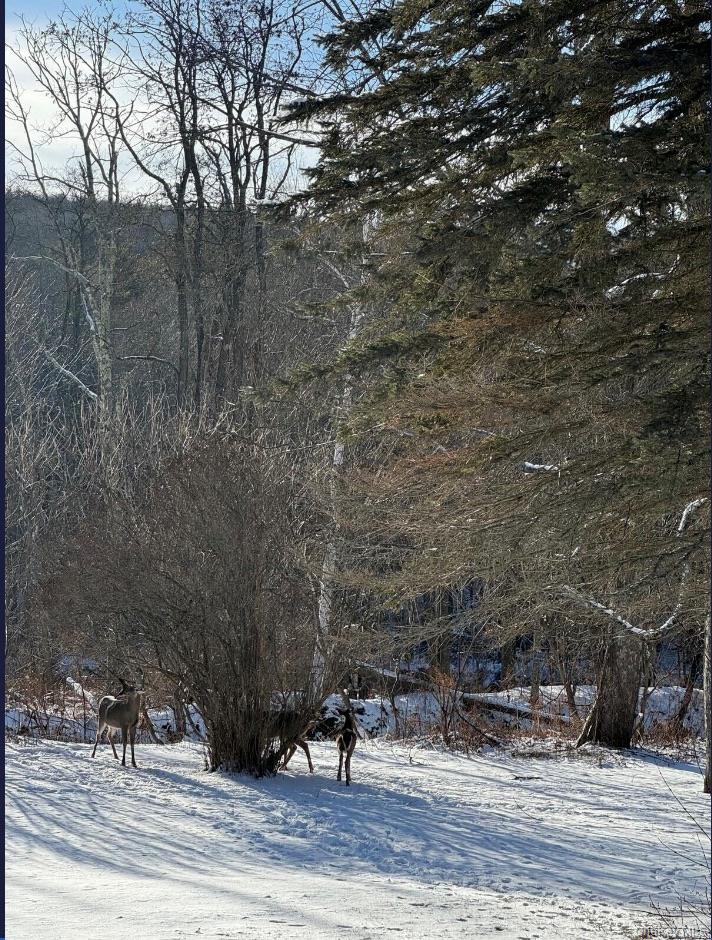 170 Maplecrest Road, Windham, NY 12496