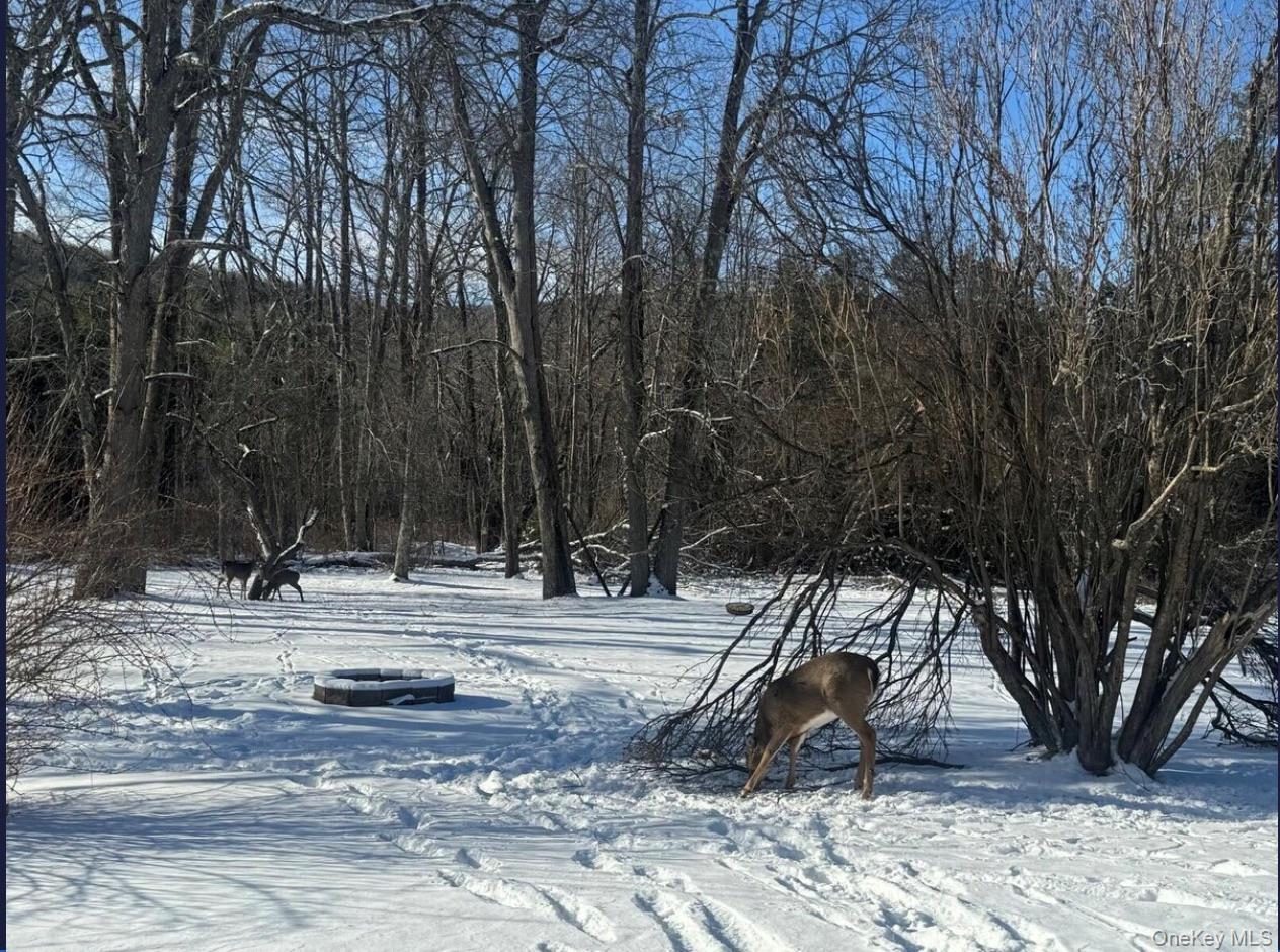 170 Maplecrest Road, Windham, NY 12496