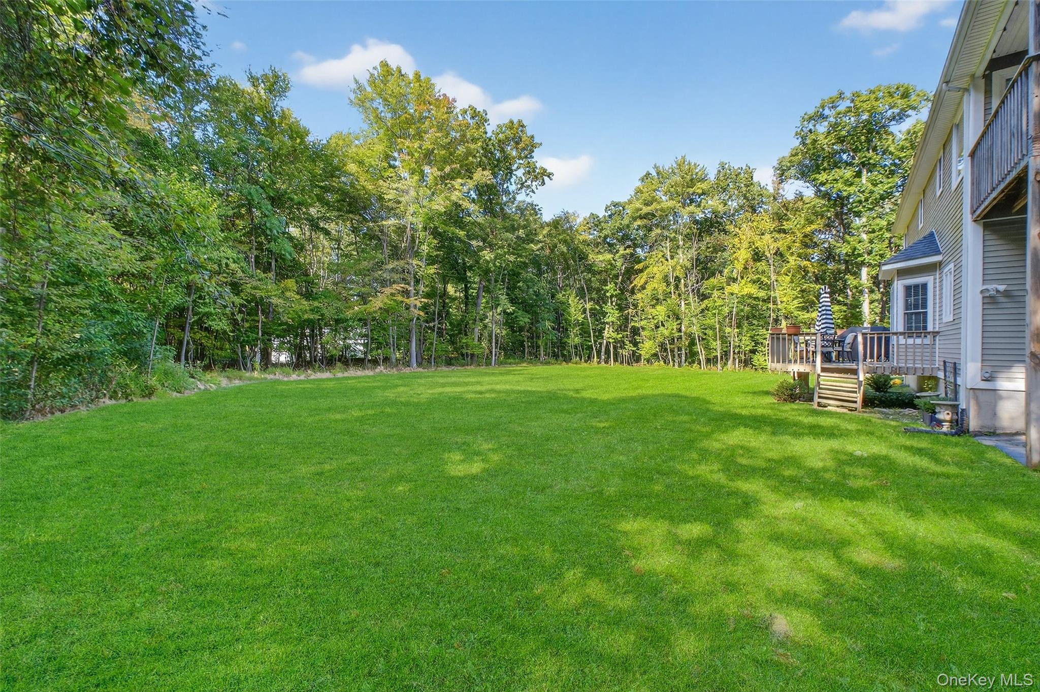 93 Shagbark Lane, Hopewell Junction, NY 12533