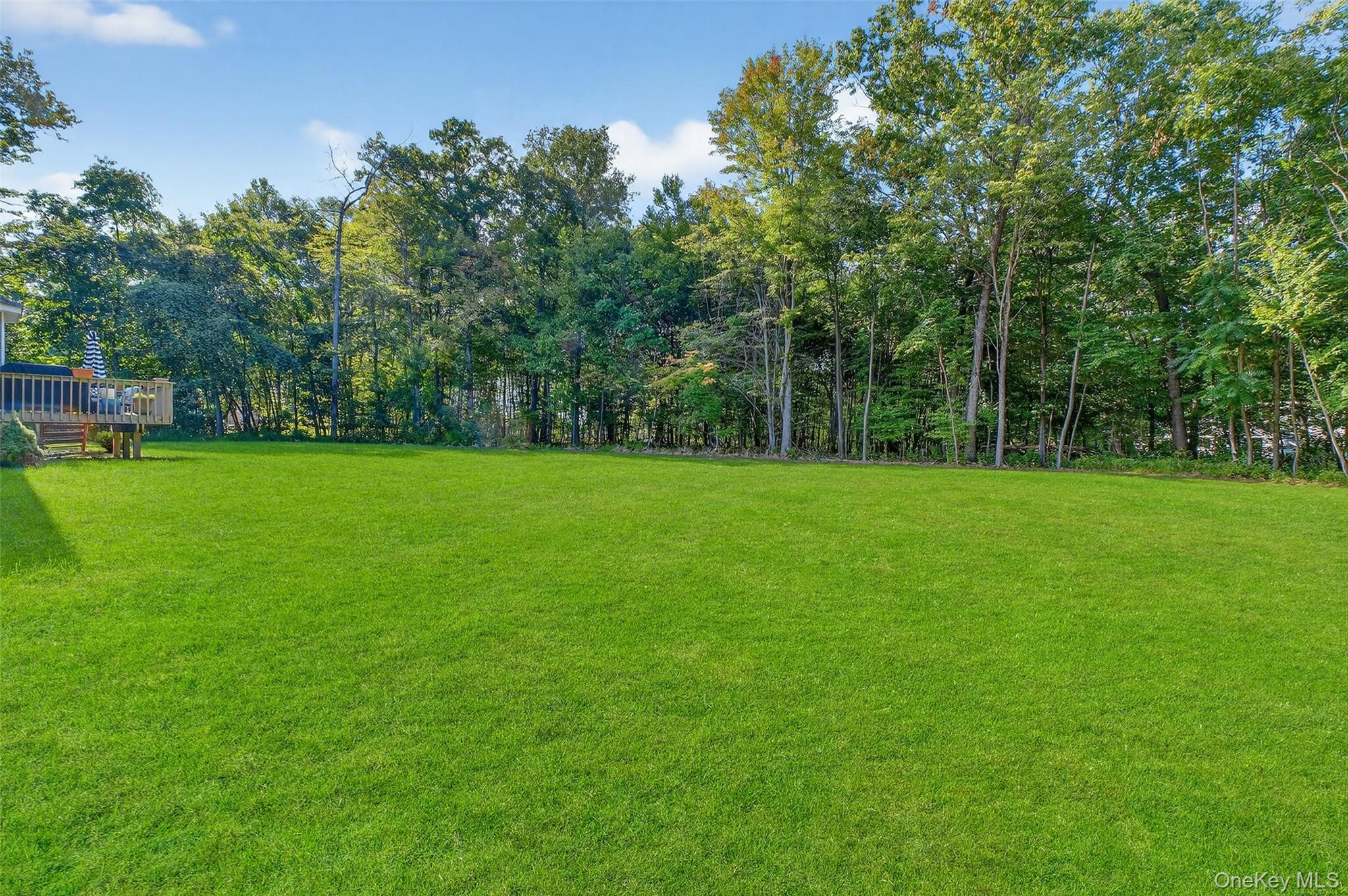 93 Shagbark Lane, Hopewell Junction, NY 12533