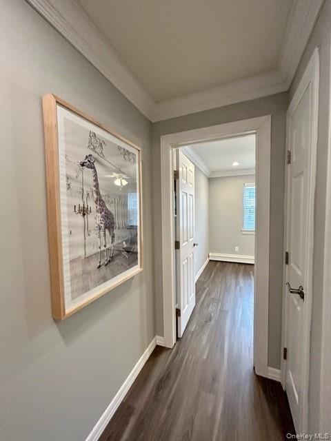 197 Cassa Loop # 197, Holtsville, NY 11742