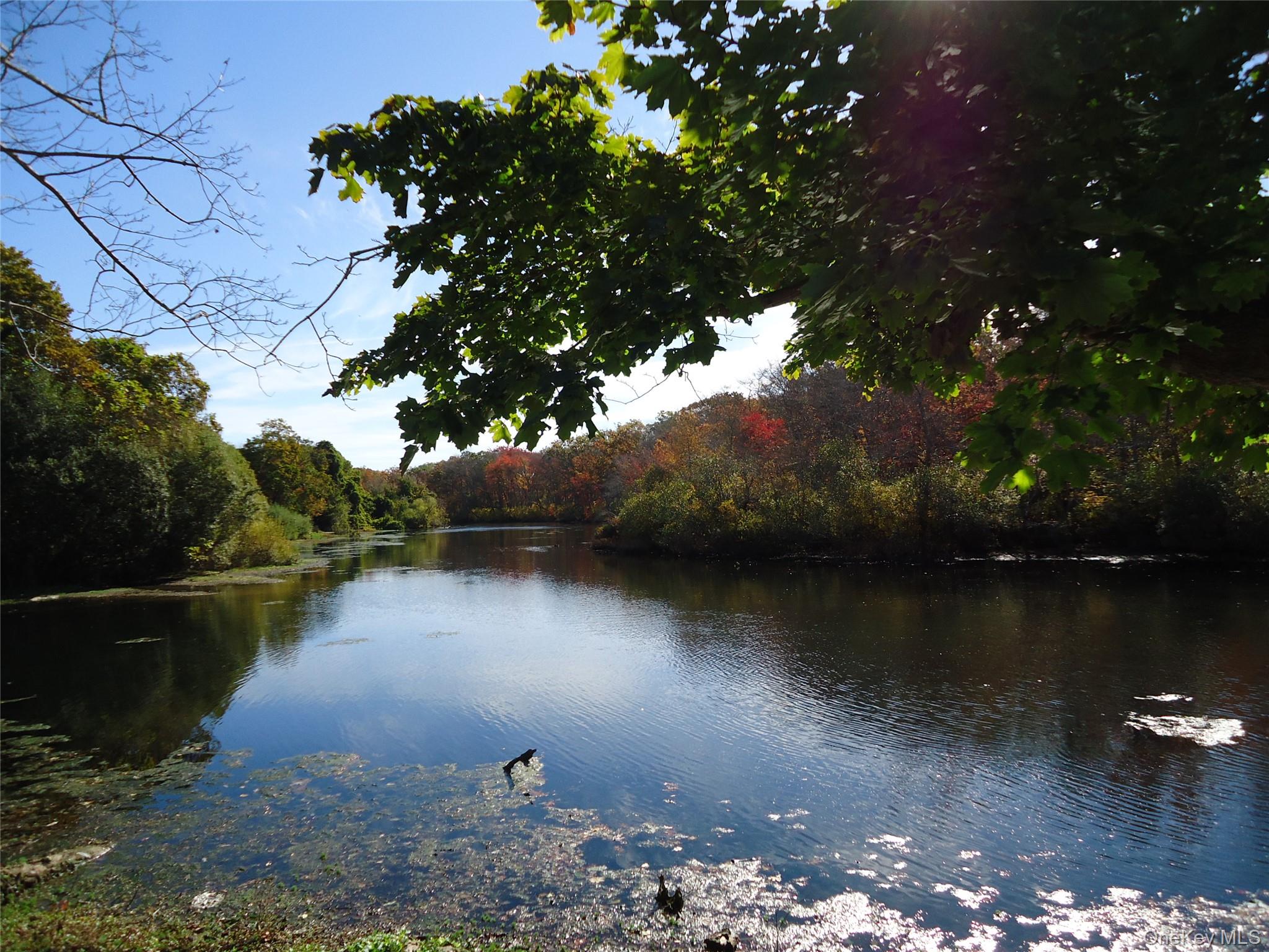 725 W Main Street, Riverhead, NY 11901