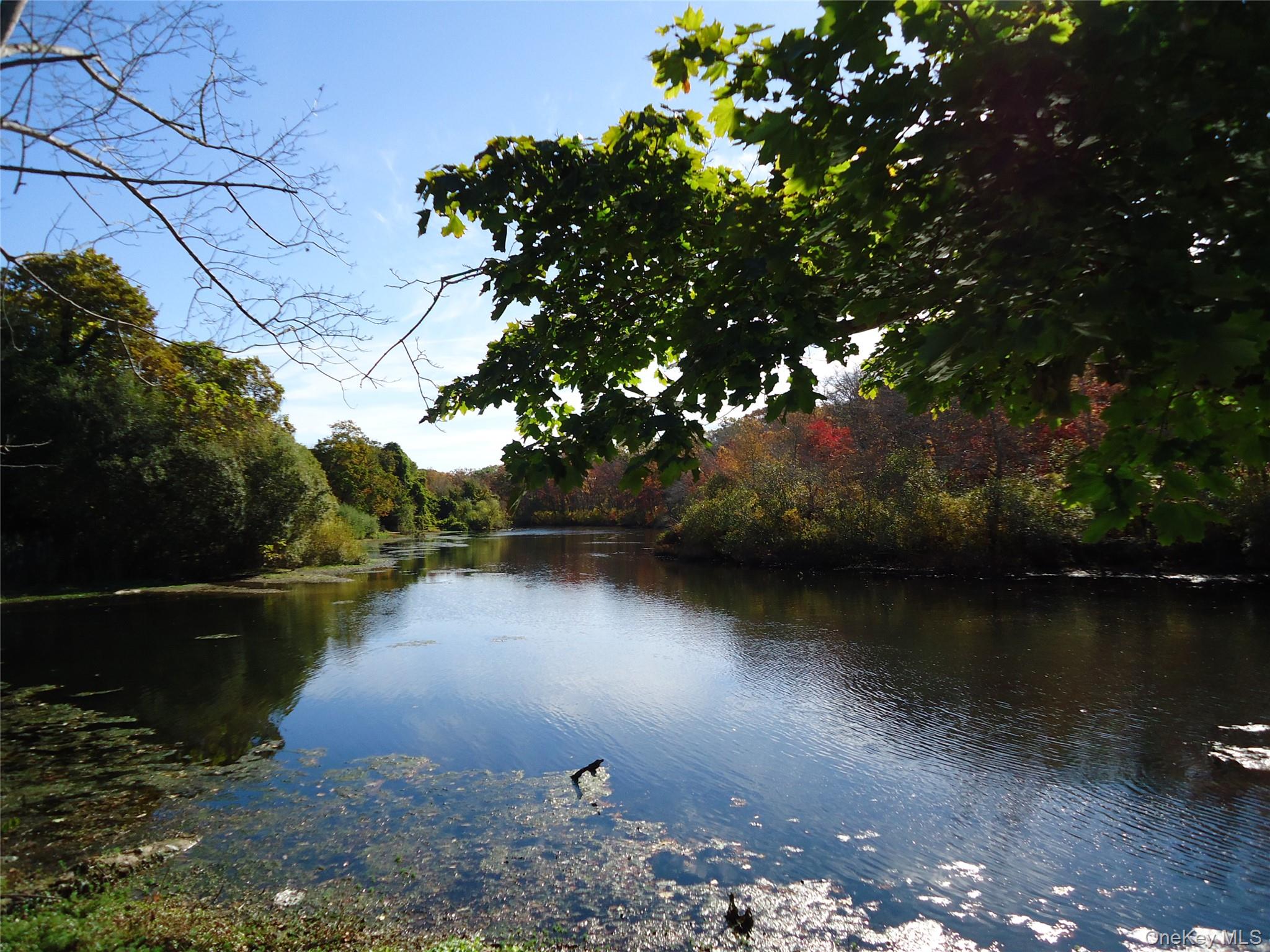 725 W Main Street, Riverhead, NY 11901