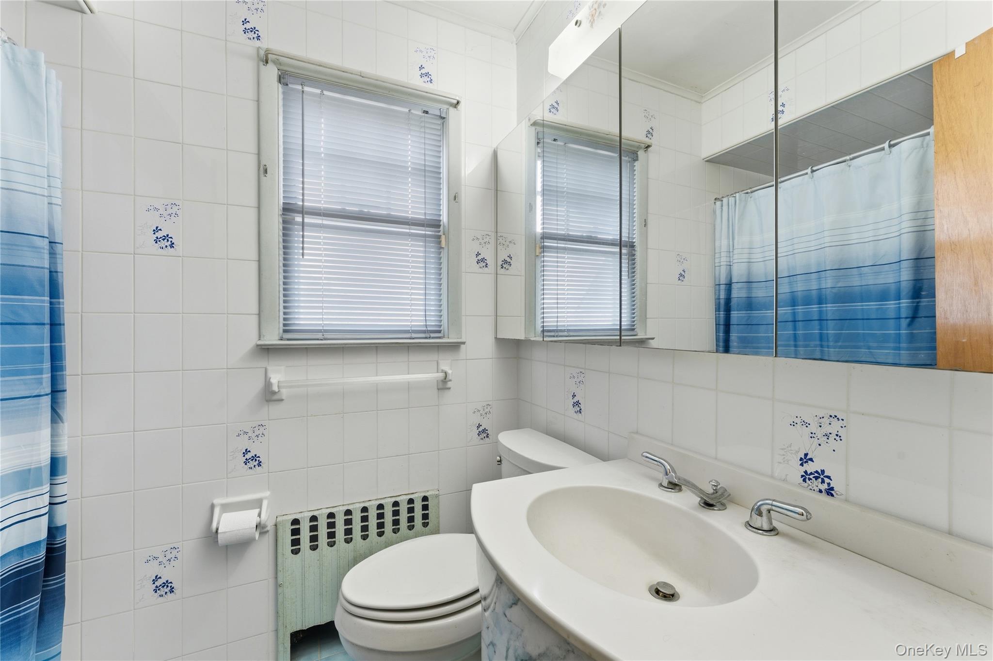 1522 Surprise Street, Elmont, NY 11003