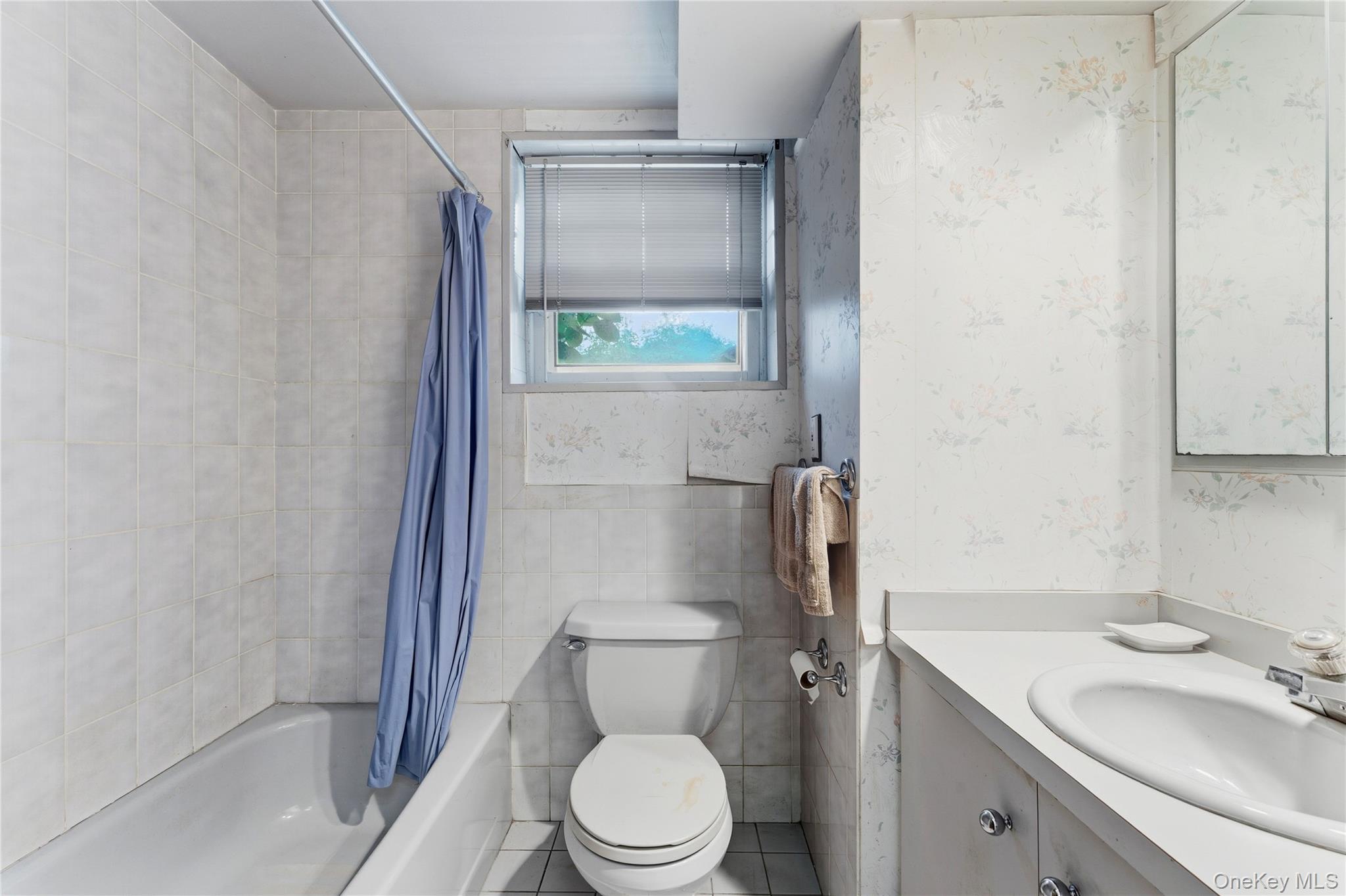 1522 Surprise Street, Elmont, NY 11003