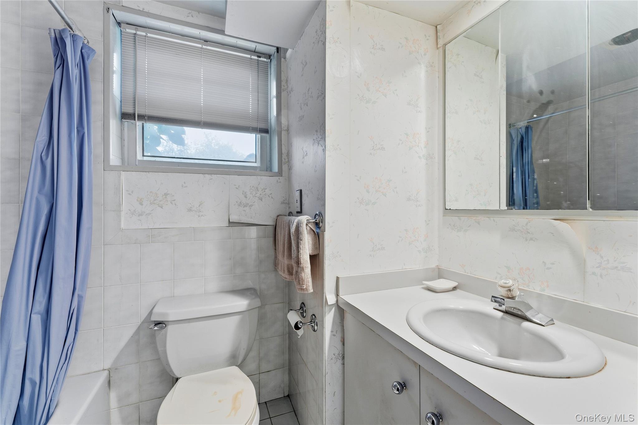 1522 Surprise Street, Elmont, NY 11003