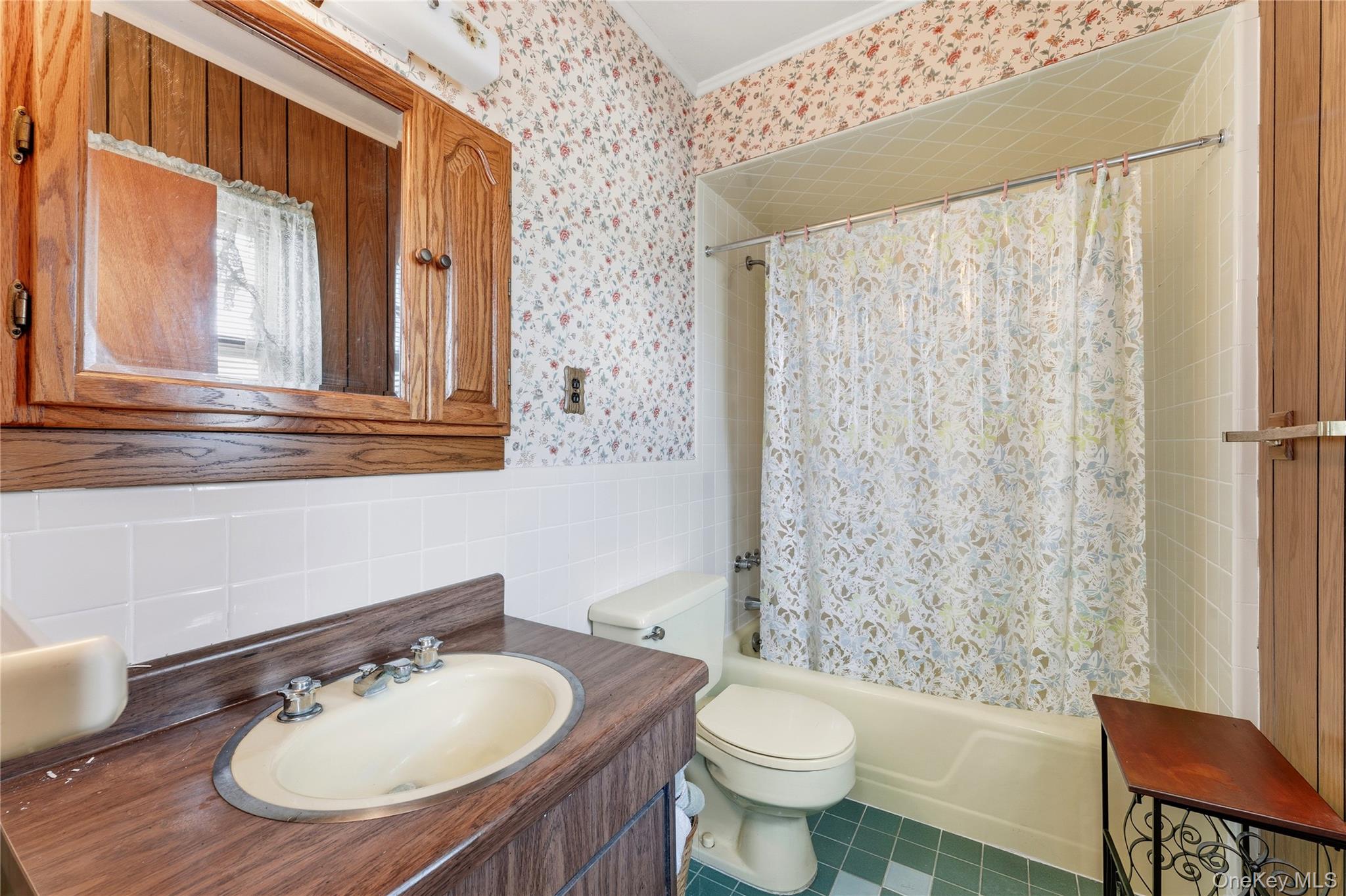 1522 Surprise Street, Elmont, NY 11003