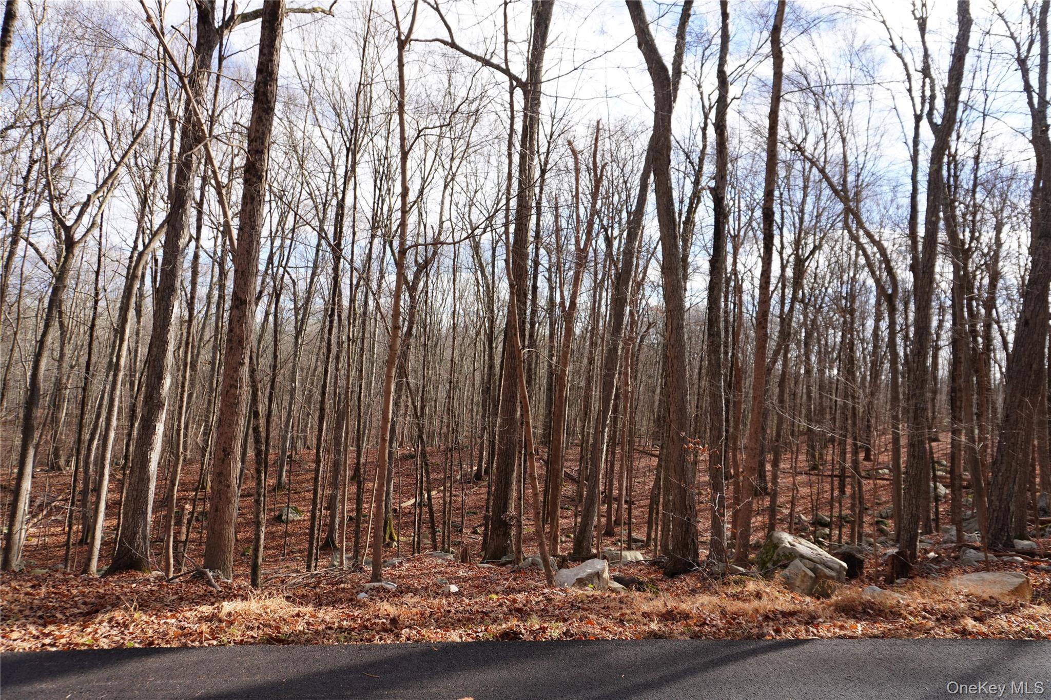 Route 301 Rt-301, Carmel, NY 10512