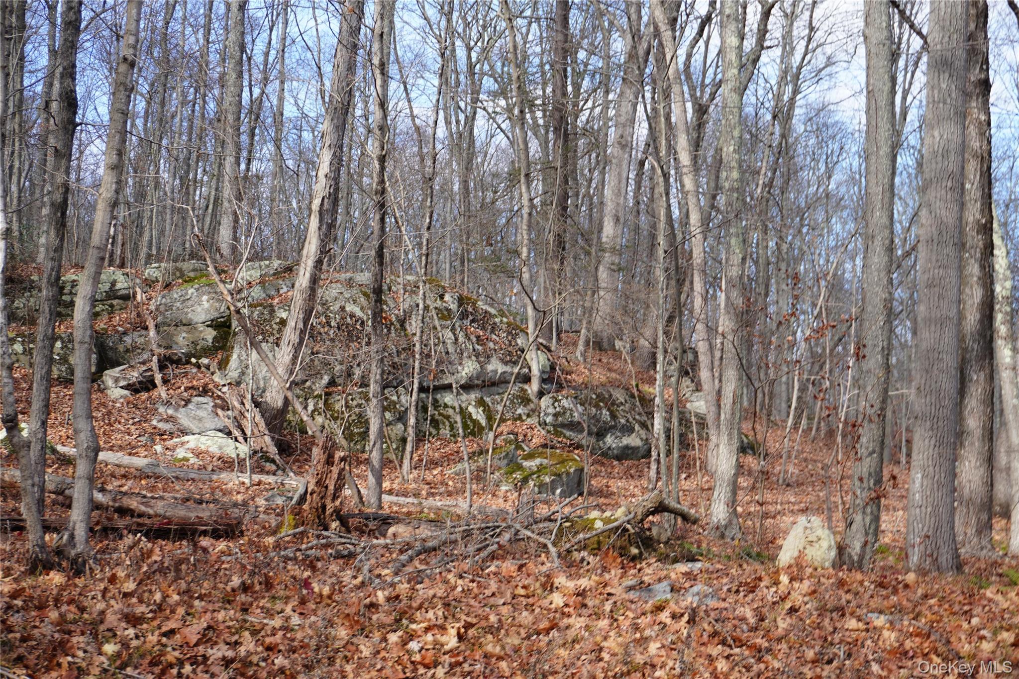 Route 301 Rt-301, Carmel, NY 10512