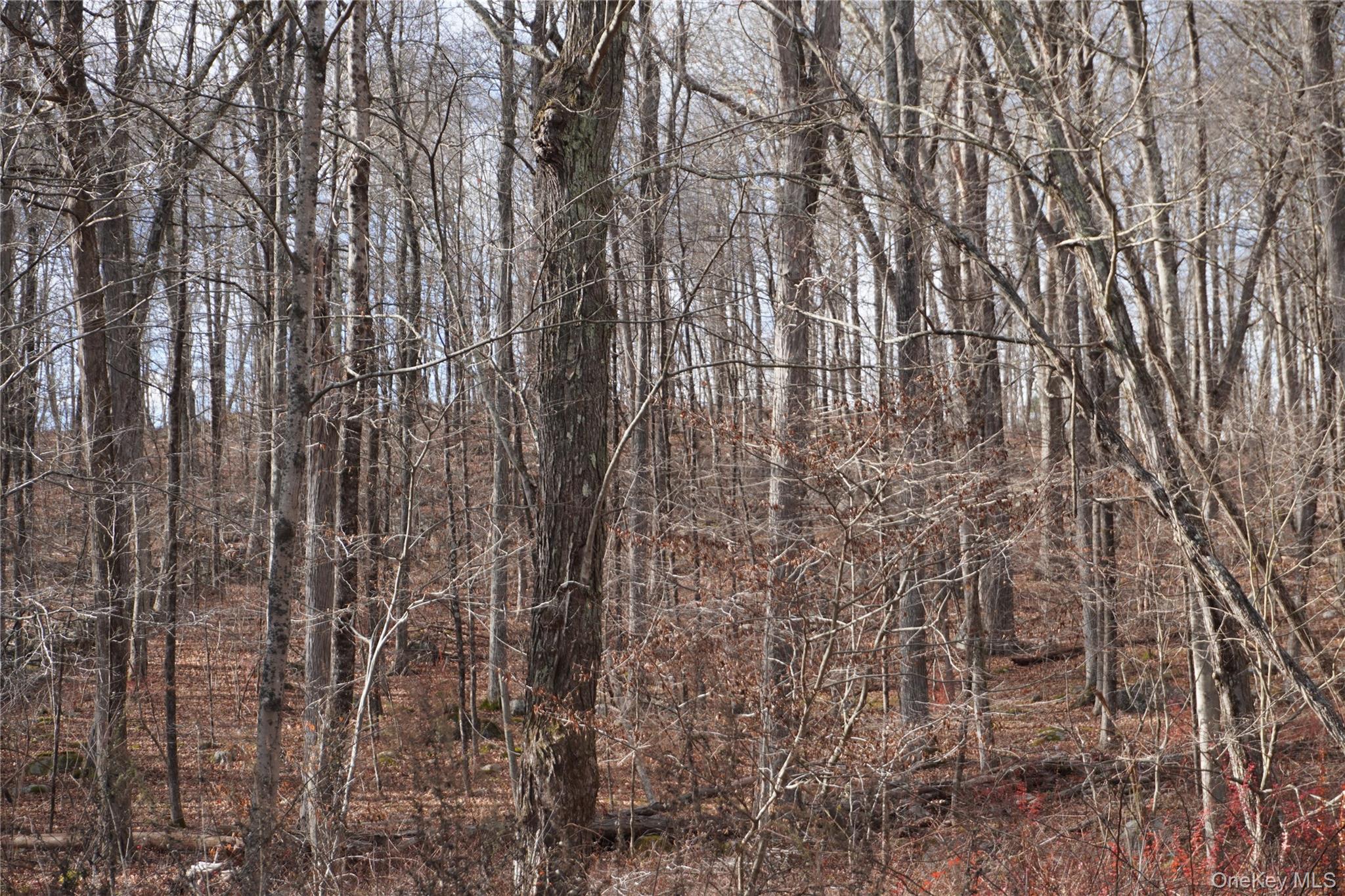 Route 301 Rt-301, Carmel, NY 10512