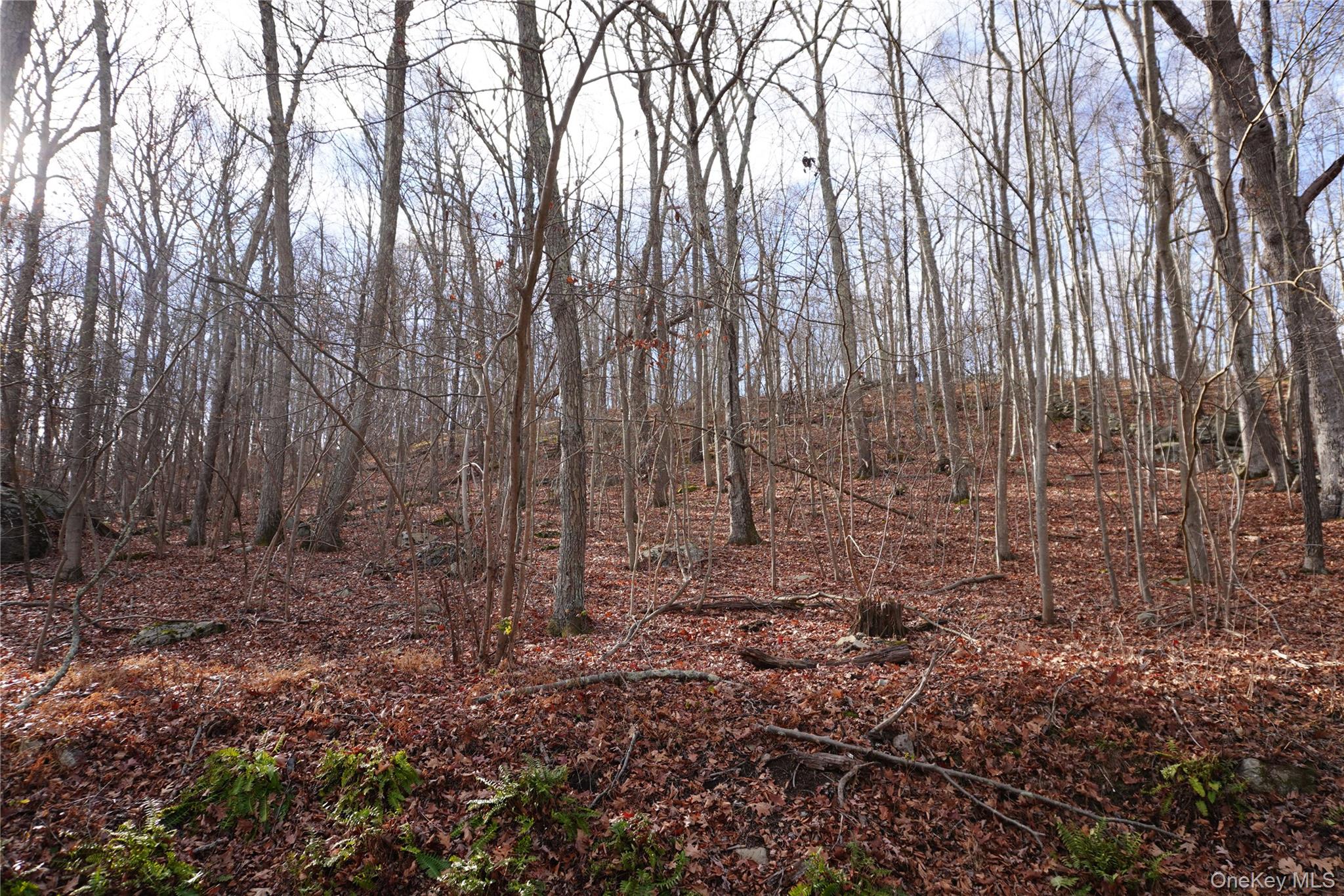 Knapp Court S, Carmel, NY 10512