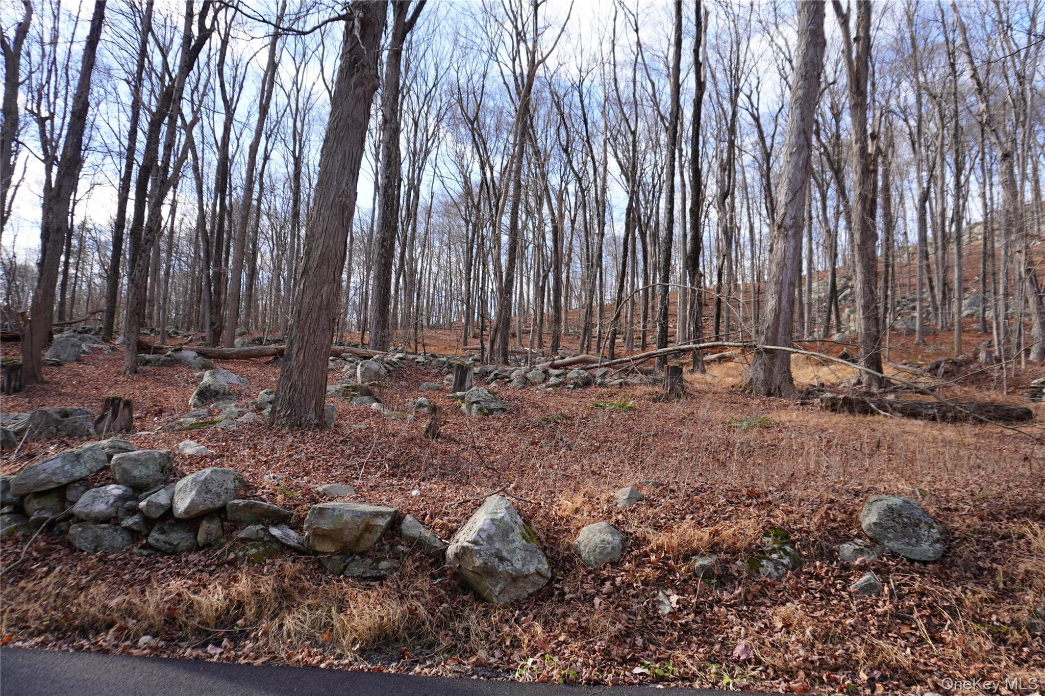 Knapp Court S, Carmel, NY 10512