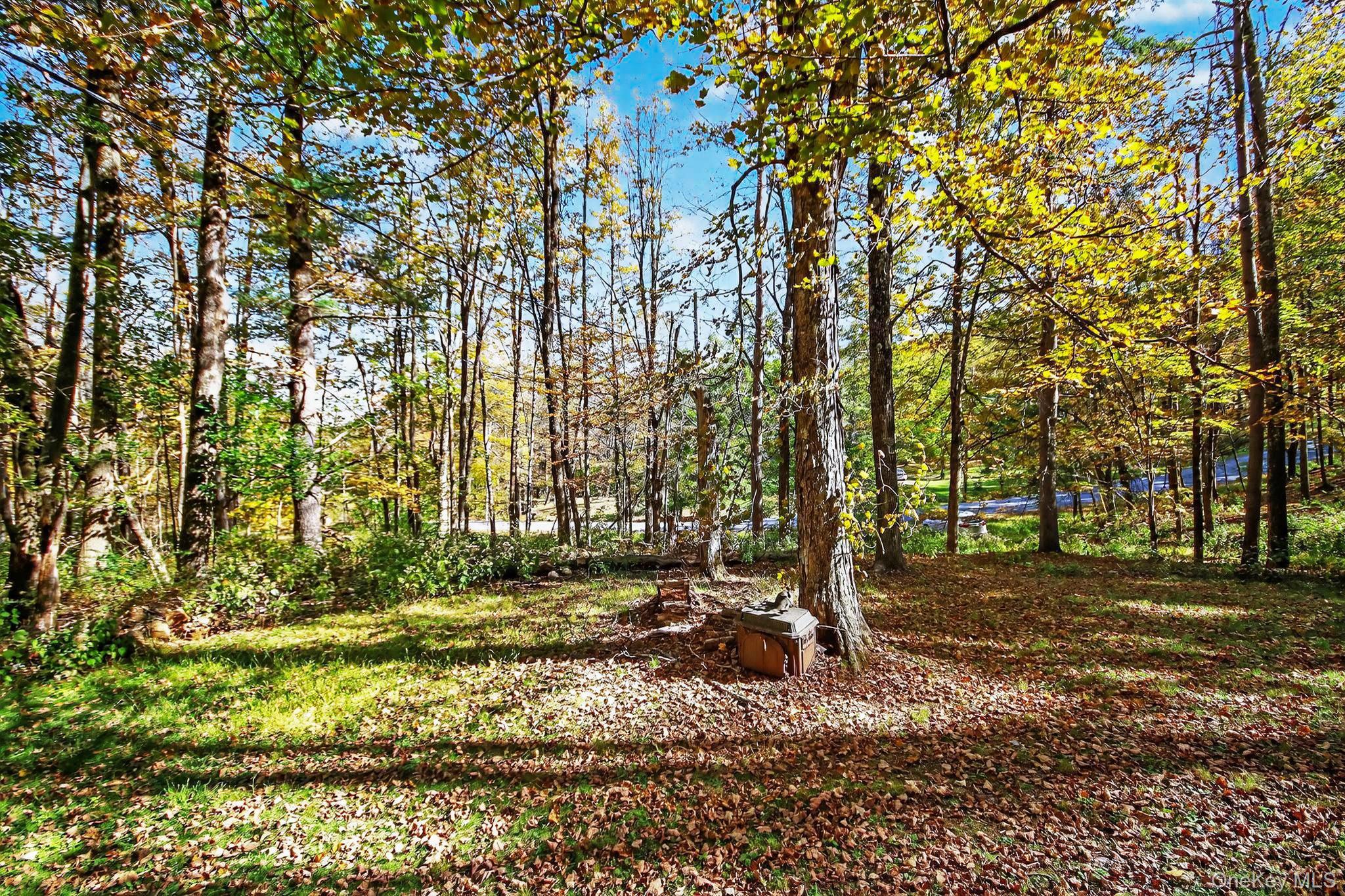 251 Overlook Drive, Hillsdale, NY 12529