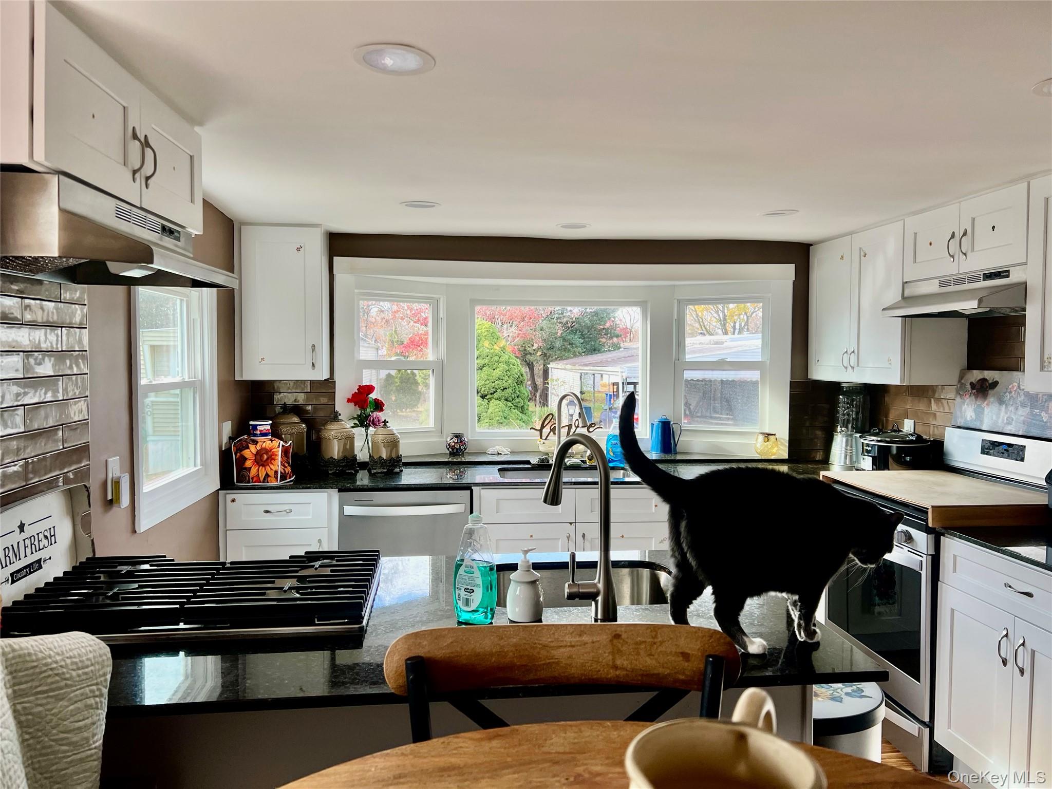 59 Betsy Ross Drive, Bohemia, NY 11716