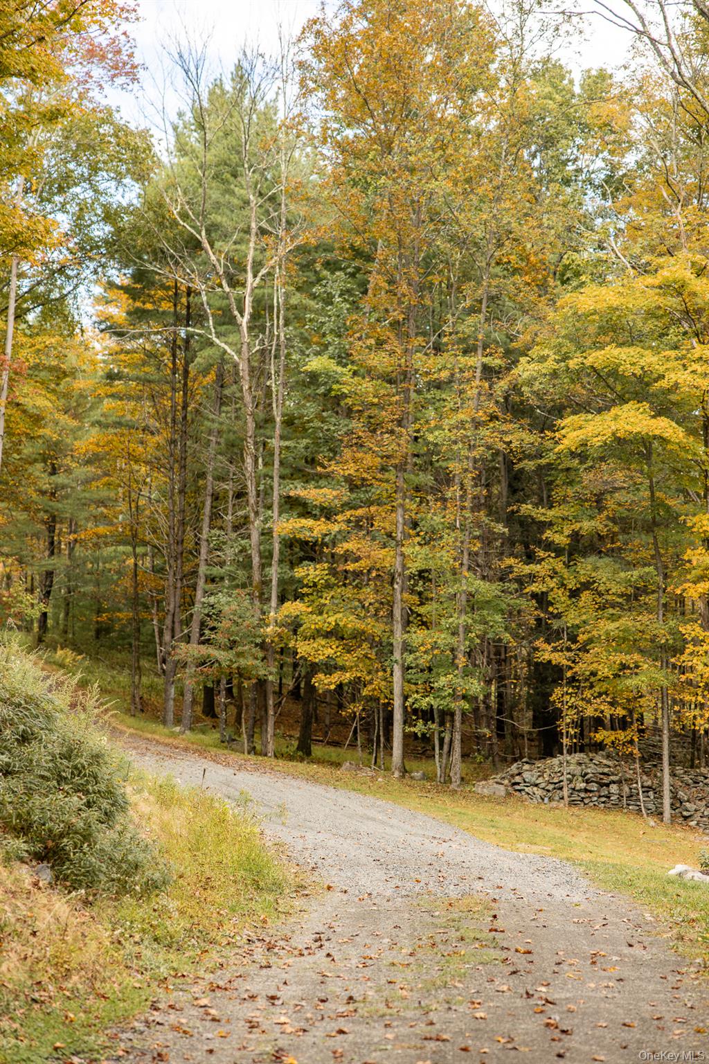 483 Acorn Hill Road, Olivebridge, NY 12461