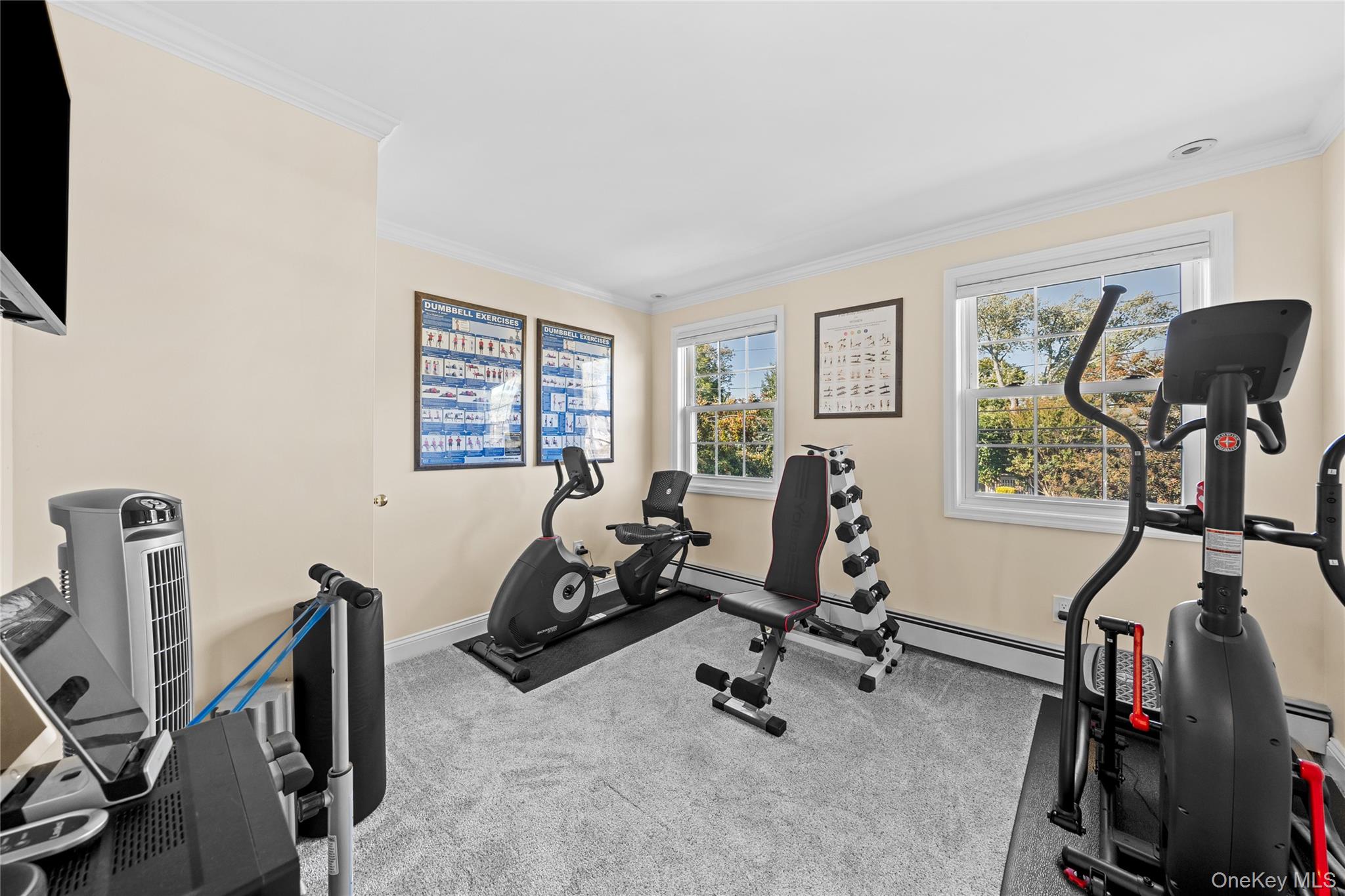 156 Cabot Road, Massapequa, NY 11758