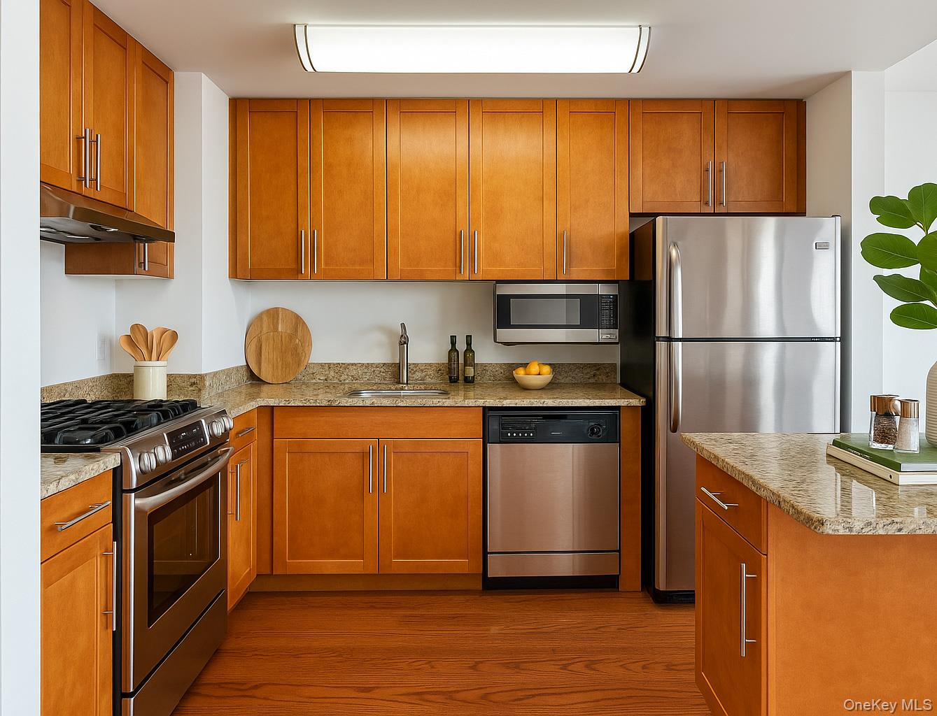 40-26 college point blvd # Penthouse2G, Flushing, NY 11354