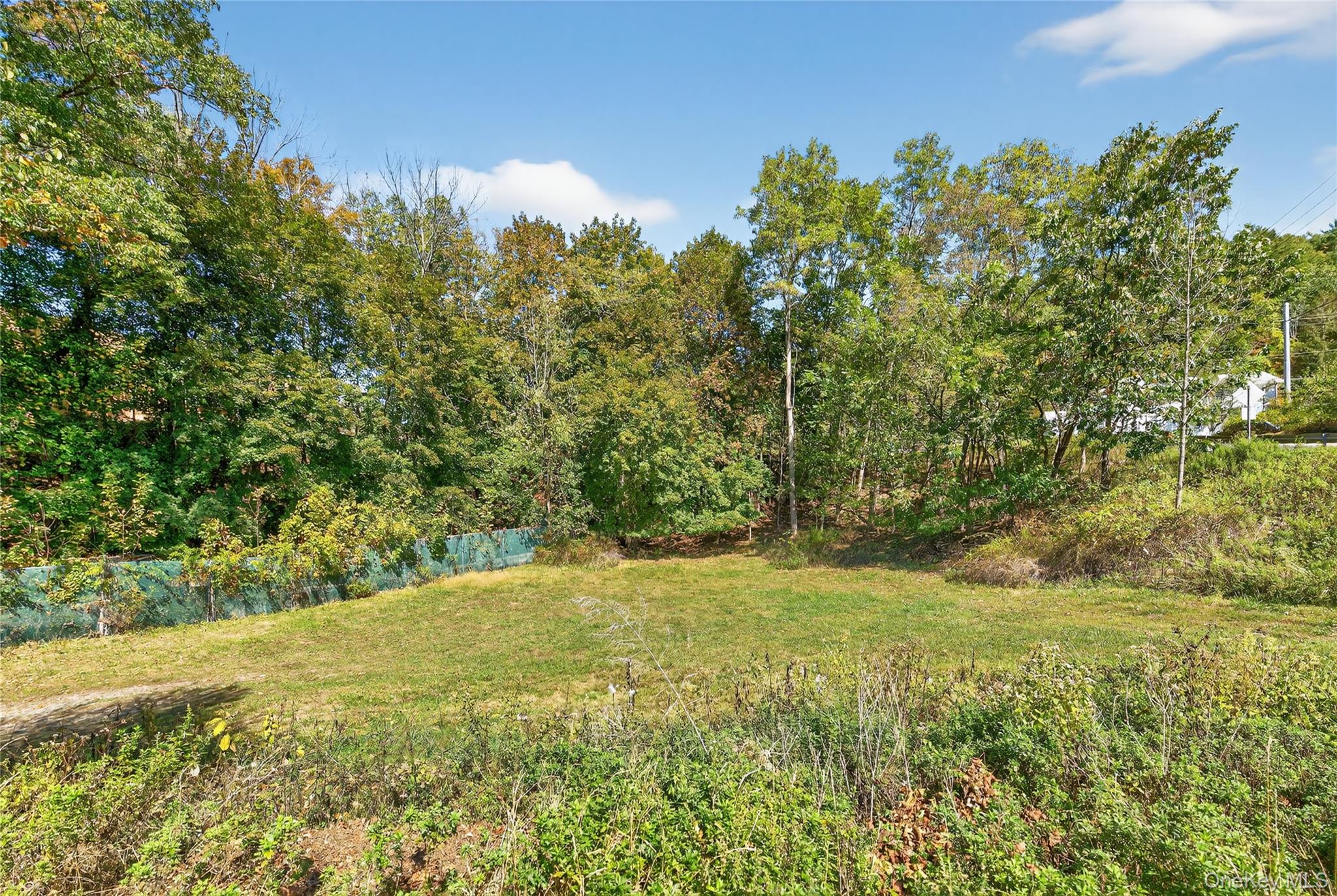 16 Upper Main Street, Callicoon, NY 12723