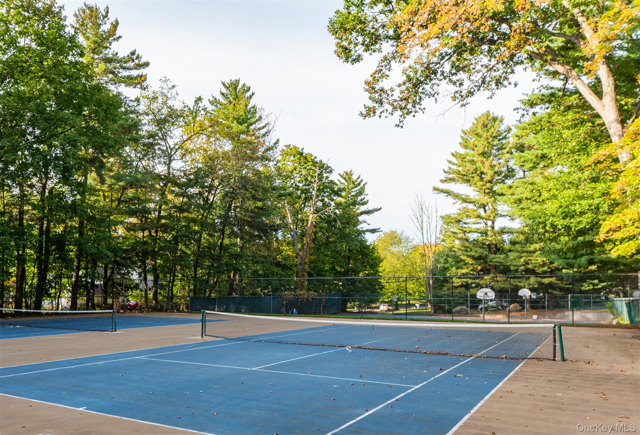 5 Essex Lane # B5, Suffern, NY 10901