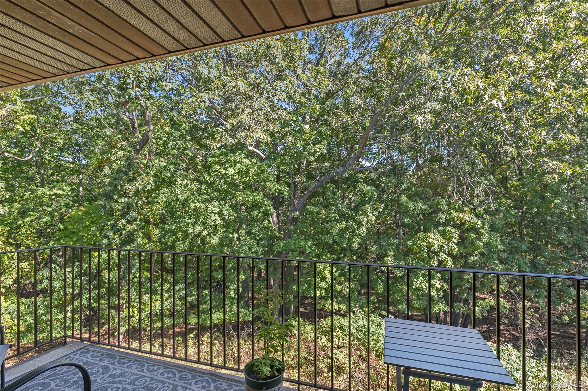 2 Dogwood Ct # 2, Selden, NY 11784