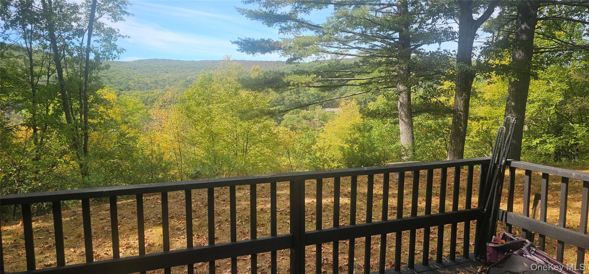 9 Cherry Hill Lane, Sparrowbush, NY 12493