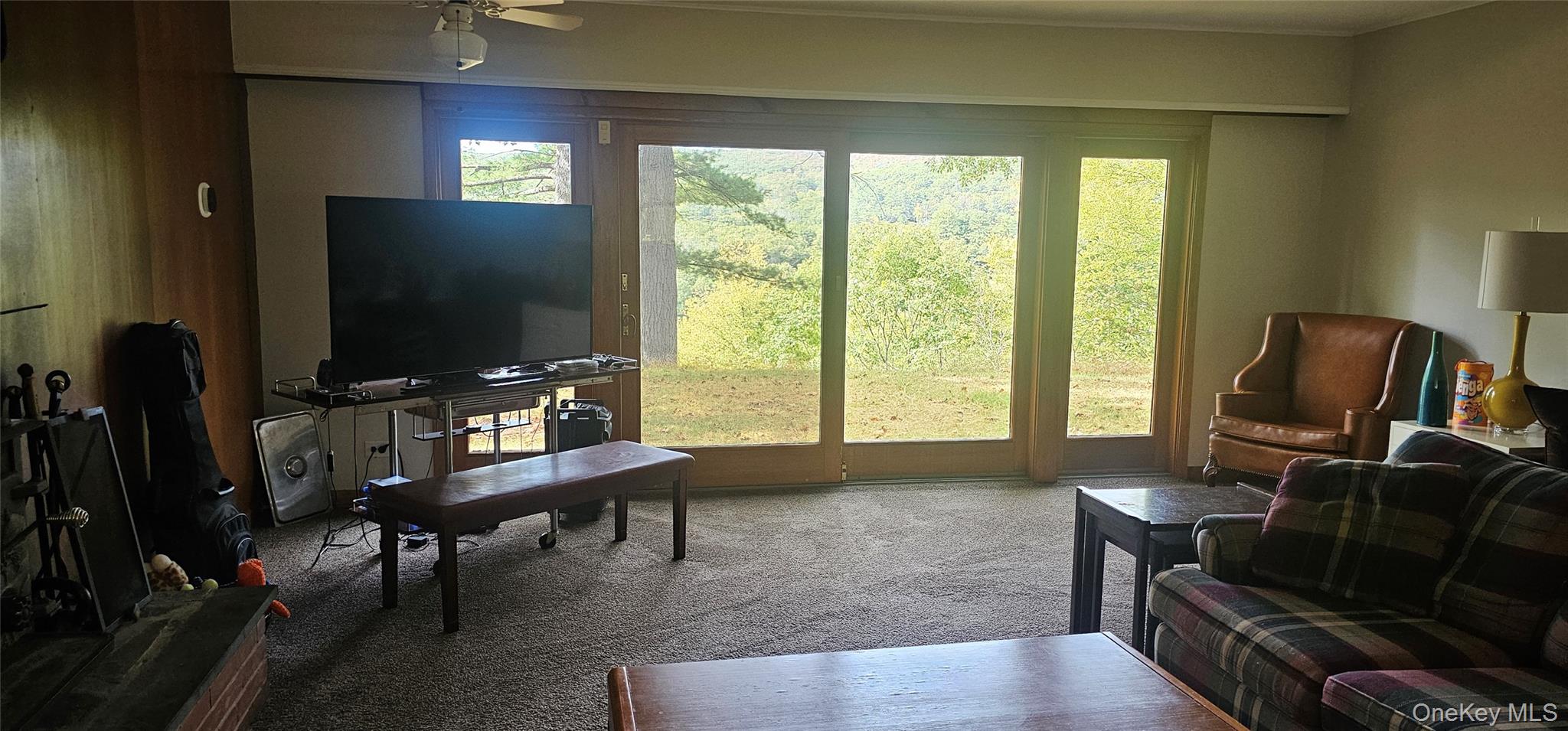 9 Cherry Hill Lane, Sparrowbush, NY 12493