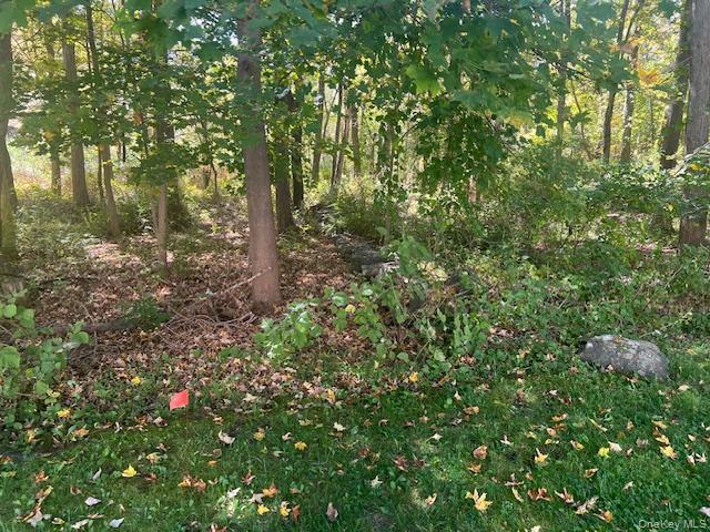 Lot 27 Cobblers Way, Cortlandt Manor, NY 10567