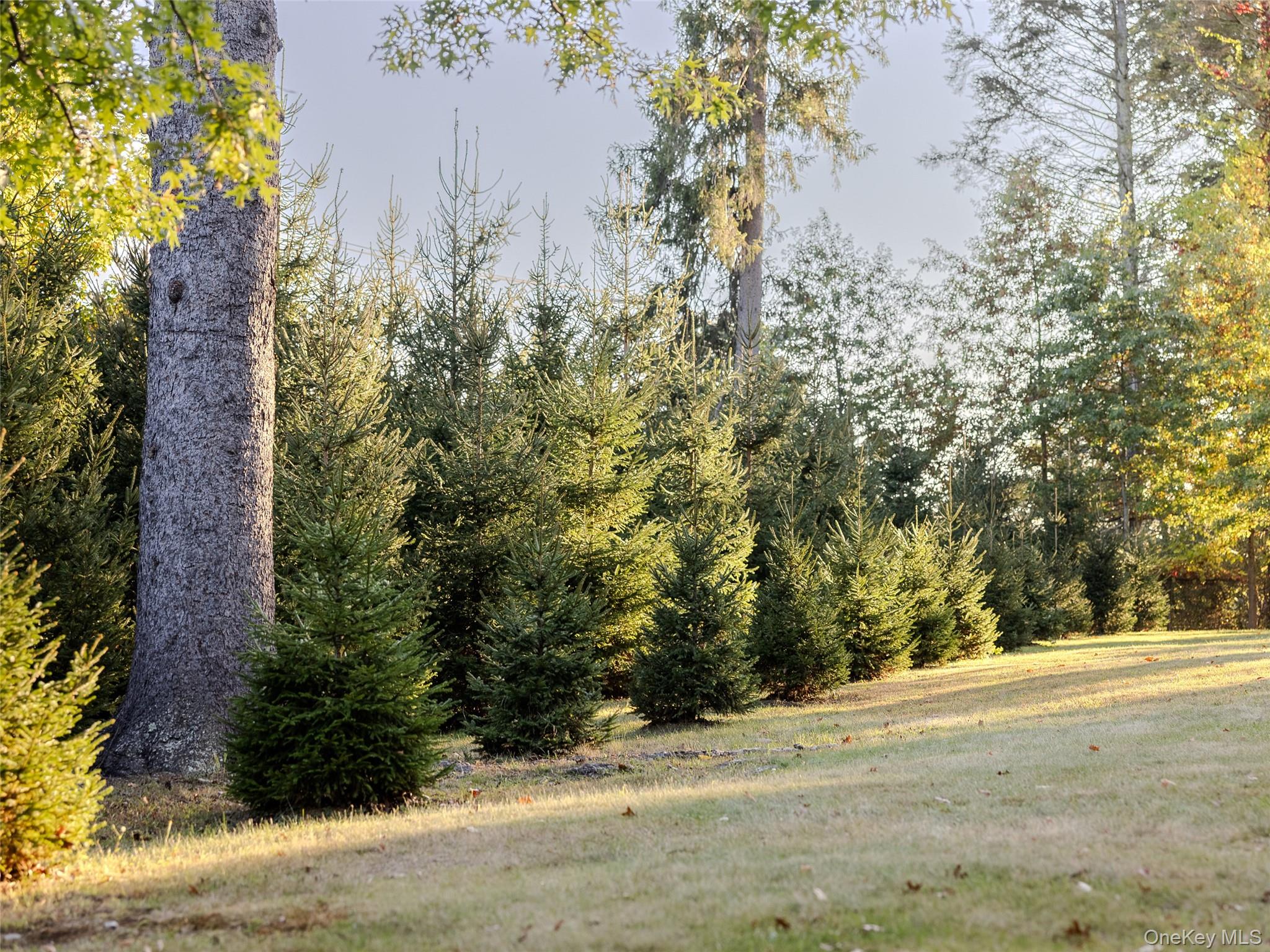 63 Colonial Avenue, Warwick, NY 10990