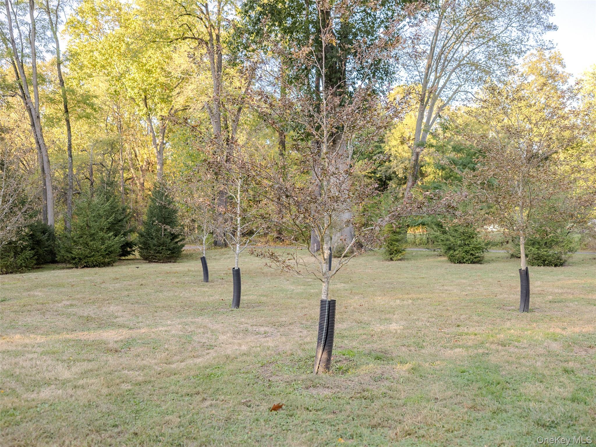 63 Colonial Avenue, Warwick, NY 10990