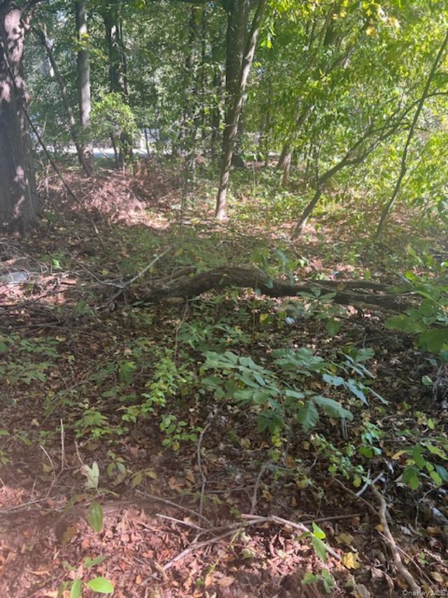 Lot 54 Shady Brook Lane, Cortlandt Manor, NY 10567