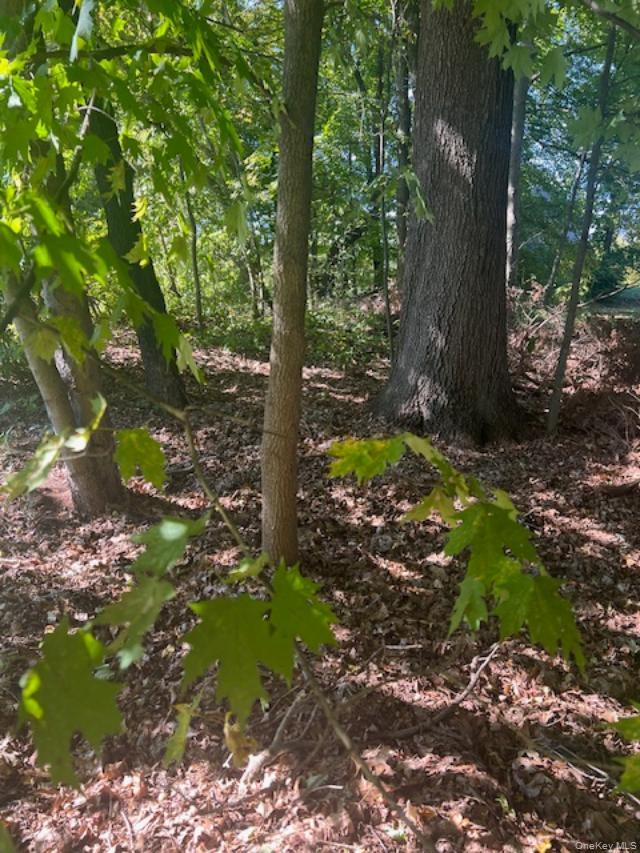 Lot 54 Shady Brook Lane, Cortlandt Manor, NY 10567
