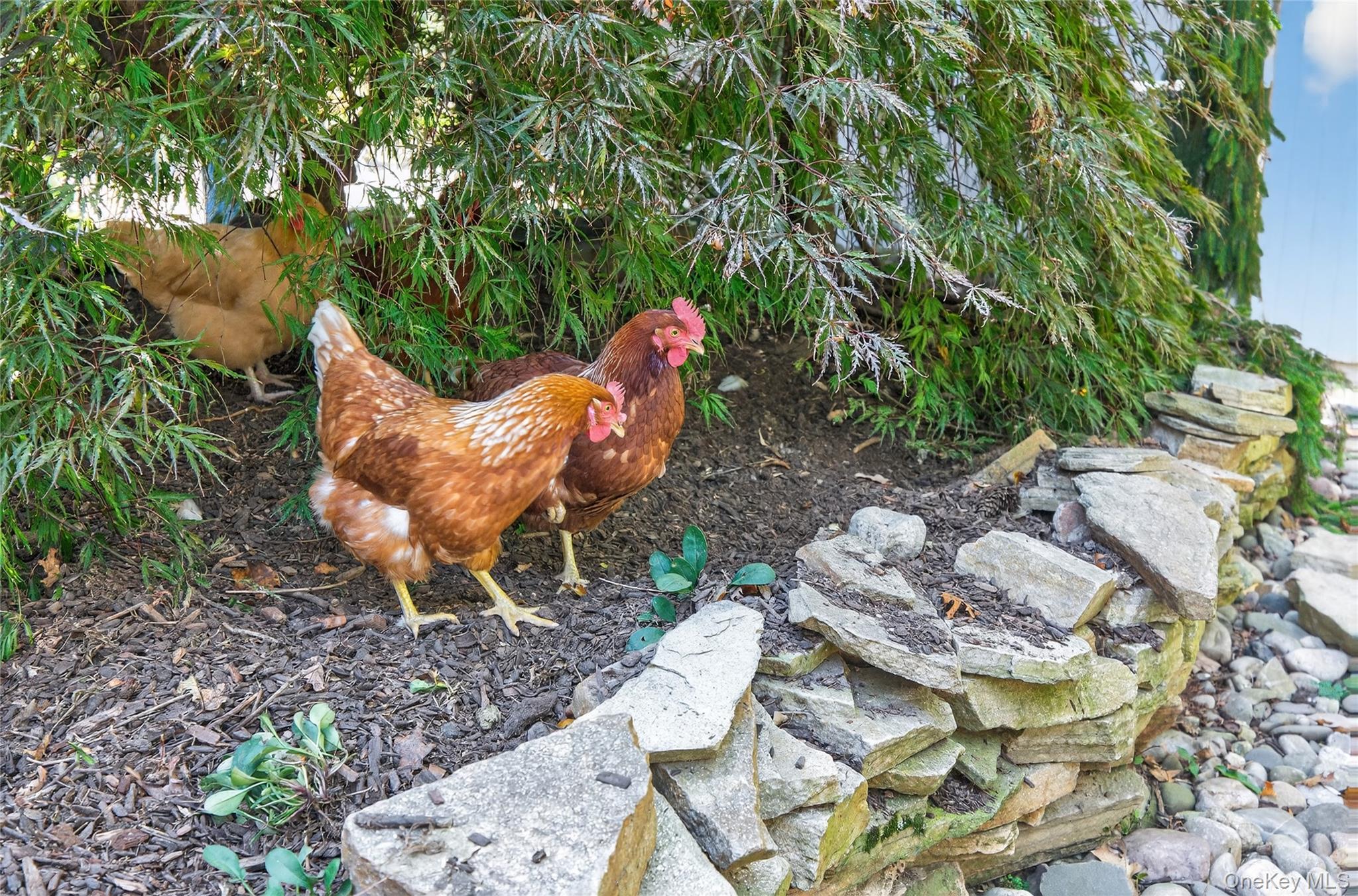 35 Deer Path Road, Tuxedo Park, NY 10987