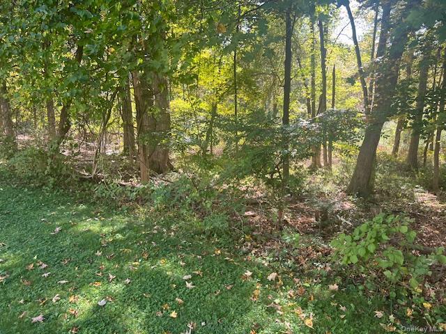 Lot 16 Buttonwood Avenue, Cortlandt Manor, NY 10567